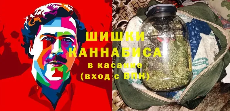 мега как зайти  Кашин  Конопля сатива 